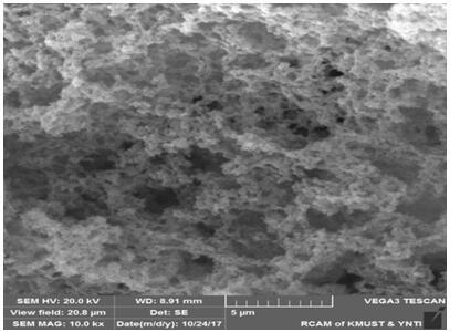 Glucan hydrogel and preparation method thereof