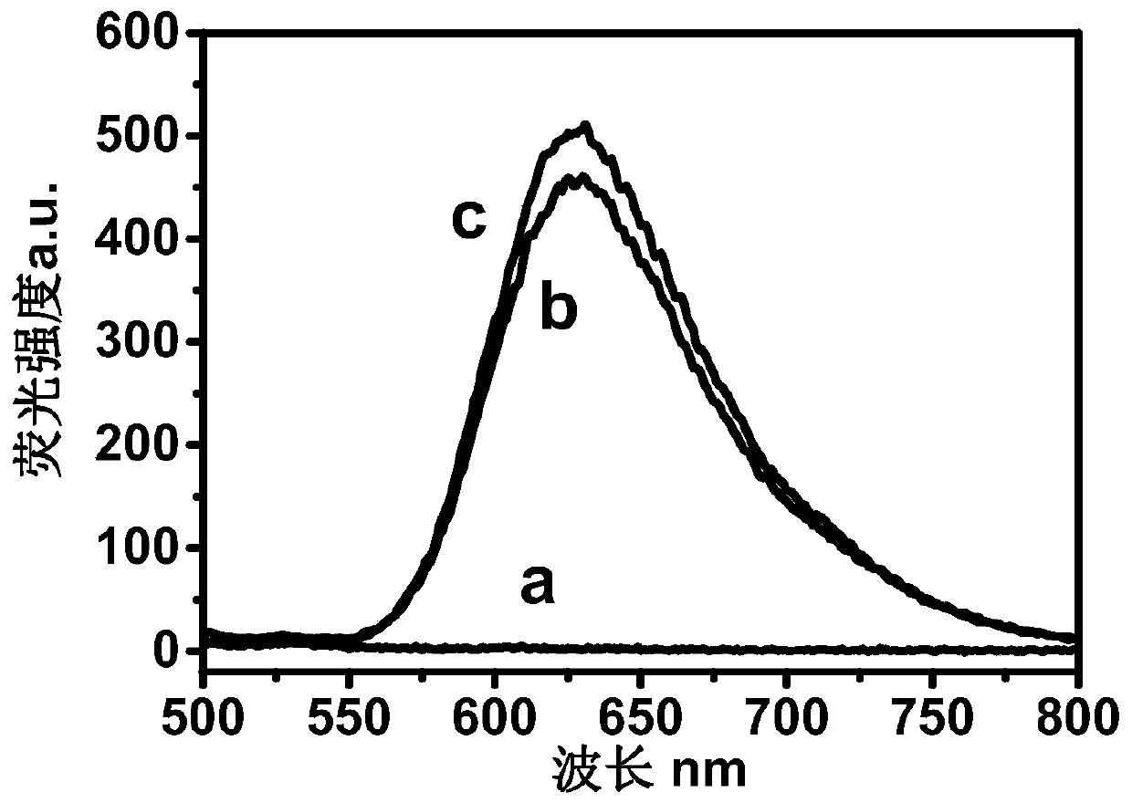 A kind of ruthenium complex joint nano-silver composite hydrotalcite nanomaterial and its preparation method and application