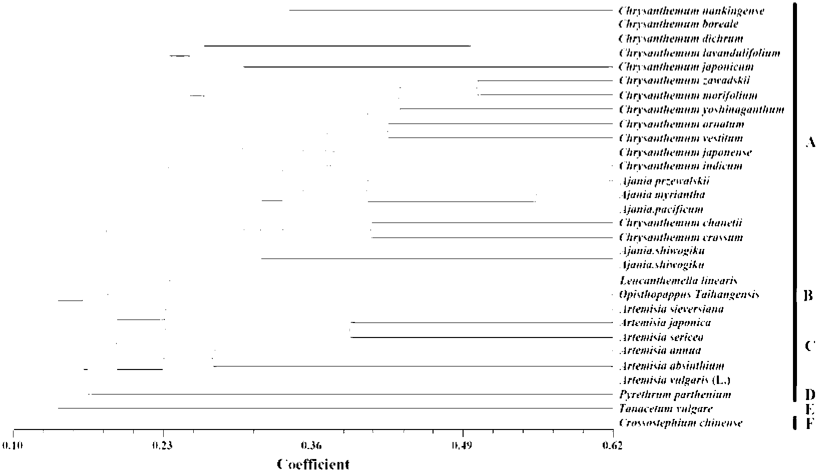 Method for developing dendranthema SSR (Simple Sequence Repeat) primer based on transcriptome sequencing