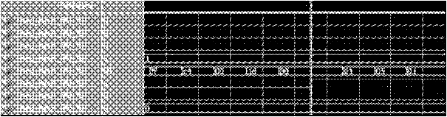 Motion joint photographic experts group (MJPEG) video coding and decoding system based on system on chip (SOC) and method thereof