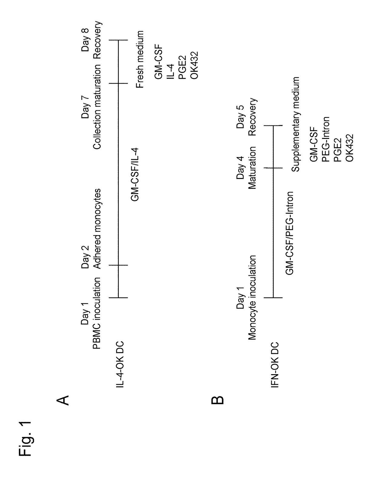 Method for preparing dendritic cells via non-adhesive culture using ifn