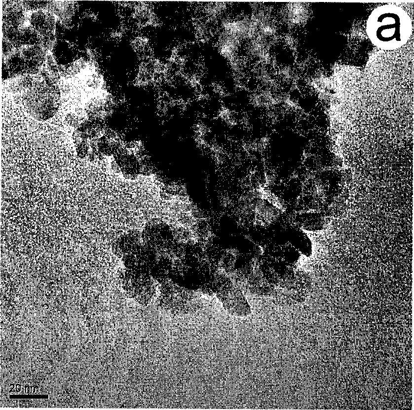 Process for preparing anatase type nano-titanium dioxide