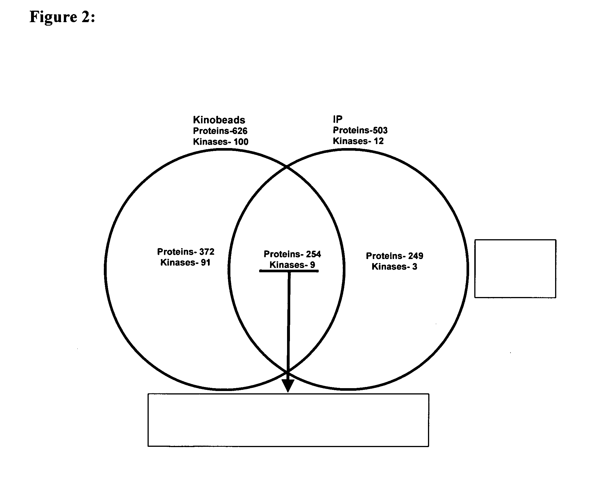 Process for the identification of novel enzyme interacting compounds