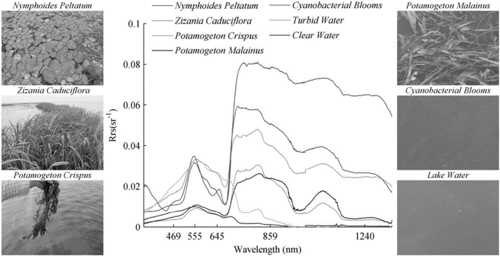 MODIS (moderate resolution imaging spectroradiometer) satellite synchronous monitoring method for cyanobacterial bloom and aquatic vegetation in eutrophic lakes