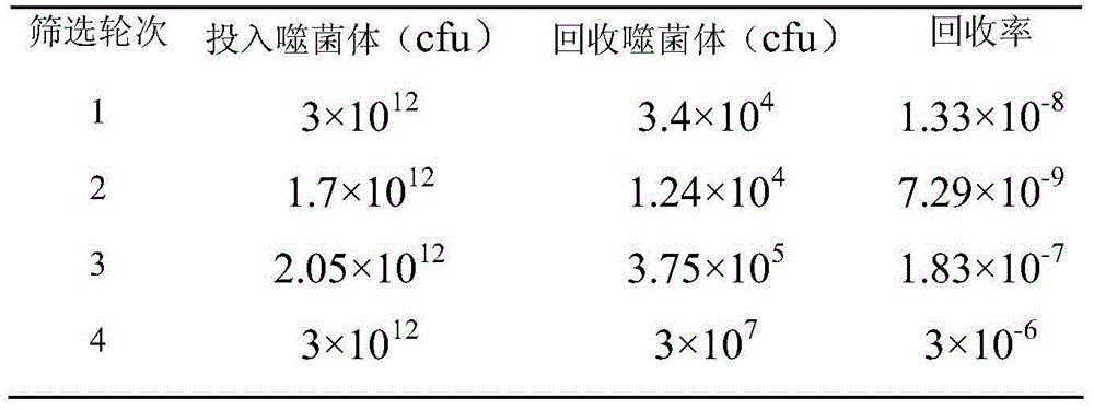 Preparation method and application for human-derived vibrio vulnificus hemolysin (VVH) resistant antibody