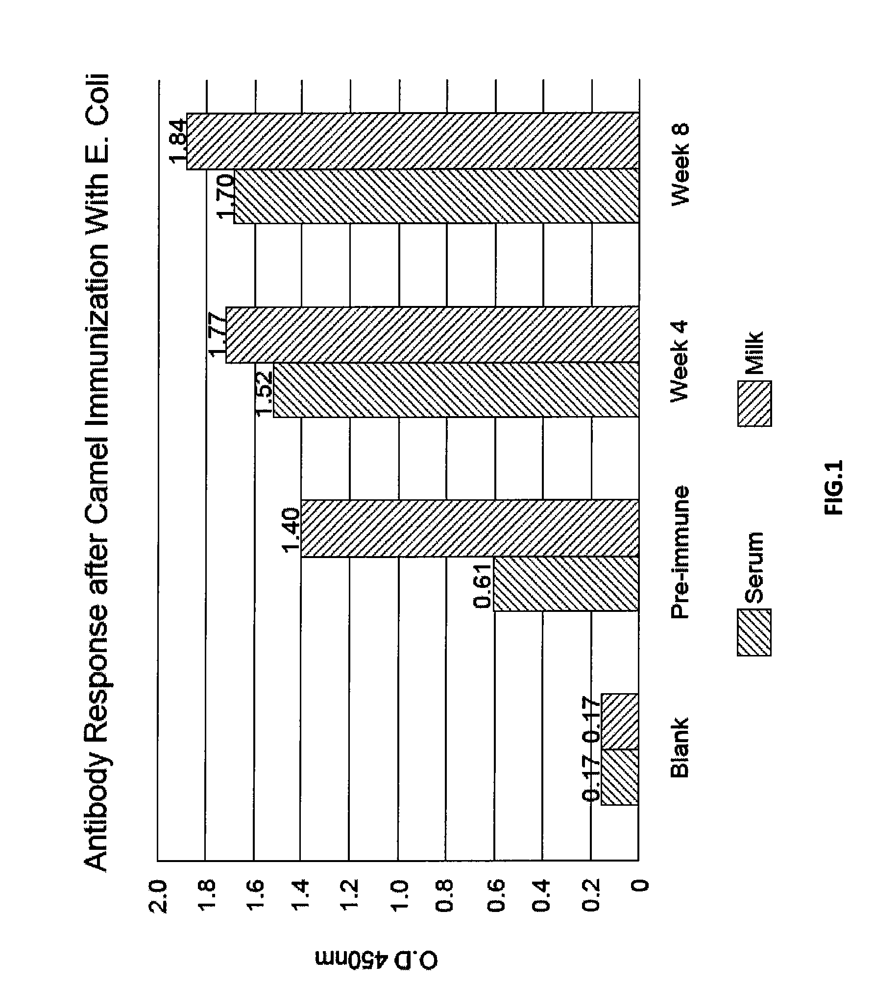 Immunized Camel Milk-Based Composition for the Treatment or Prevention of Gastrointestinal Infections