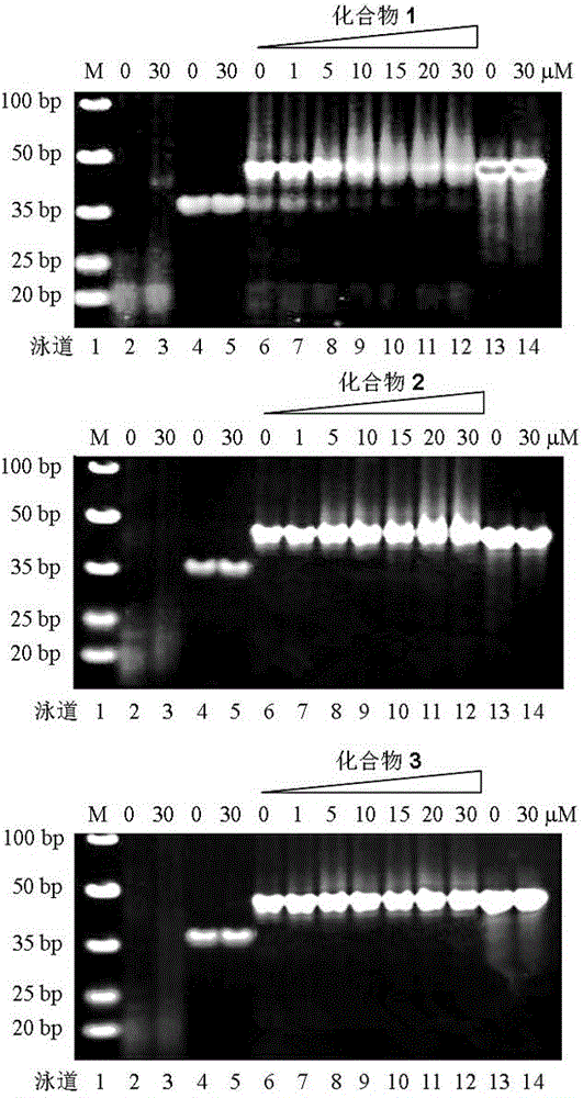 Benzo-[k,l]thiaxanthene-3,4-dimethyl anhydride derivative-uridine conjugates, and preparation method and application thereof