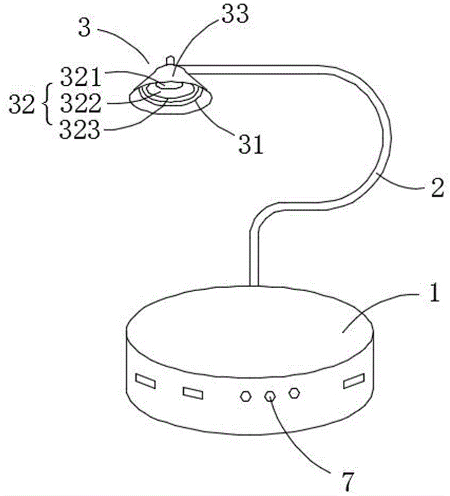 Lighting device for cultivating succulent plants