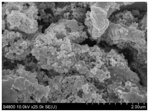 Preparation method and electrocatalytic application of perovskite electrode material