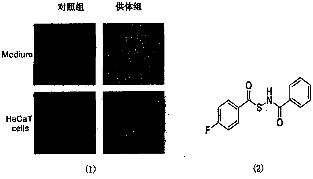 Novel method for detecting activity of hydrogen sulfide synthetase by using hydrogen sulfide fluorescence probe and application of method