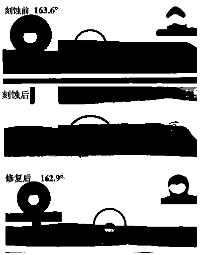 Preparation method of graphene-based self-repairing super-hydrophobic coating