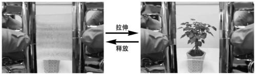 Preparation method of force-responsive surface wrinkles with adjustable light transmittance