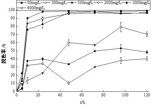 Bacterial strain for degrading dye with high efficiency