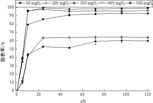 Bacterial strain for degrading dye with high efficiency