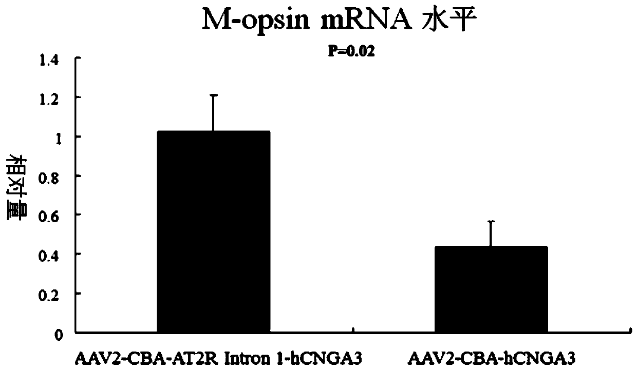 A recombinant adeno-associated virus gene therapy vector and medicine for treating patients with type 2 achromatopsia