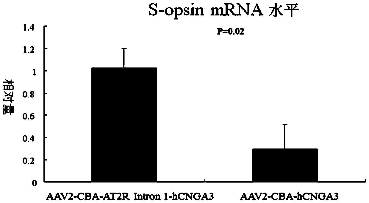 A recombinant adeno-associated virus gene therapy vector and medicine for treating patients with type 2 achromatopsia