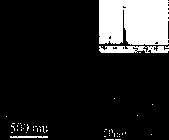 Nano-porous Pd material prepared through quasi-crystal de-alloying and preparation process of nano-porous Pd material