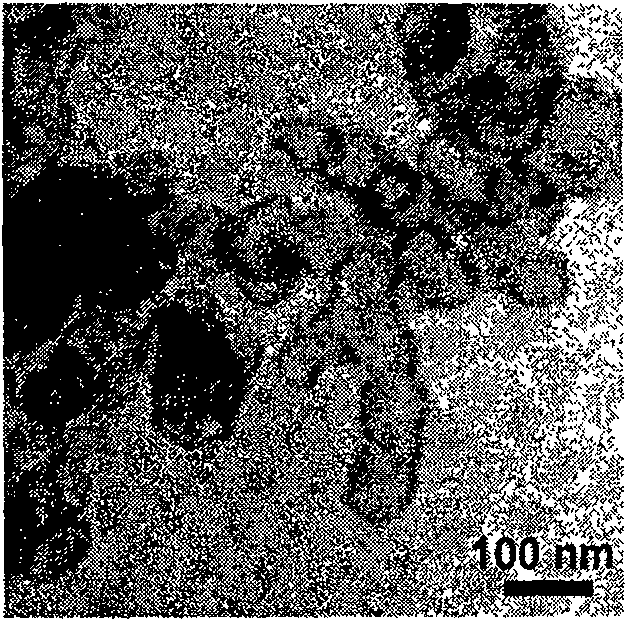 Magnesium amide nano-particle hydrogen storage material and preparation thereof