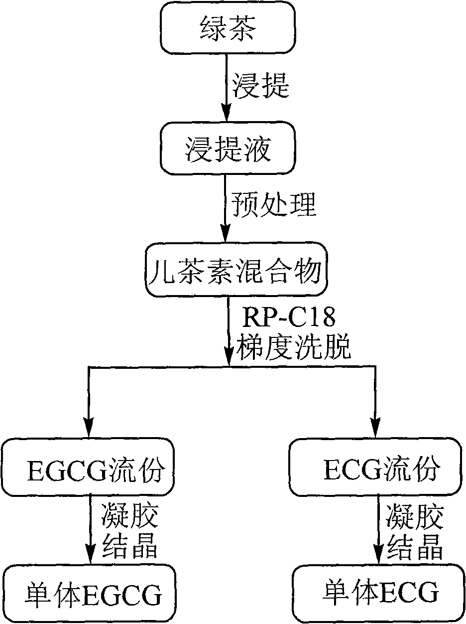 Method for preparing catechin monomers