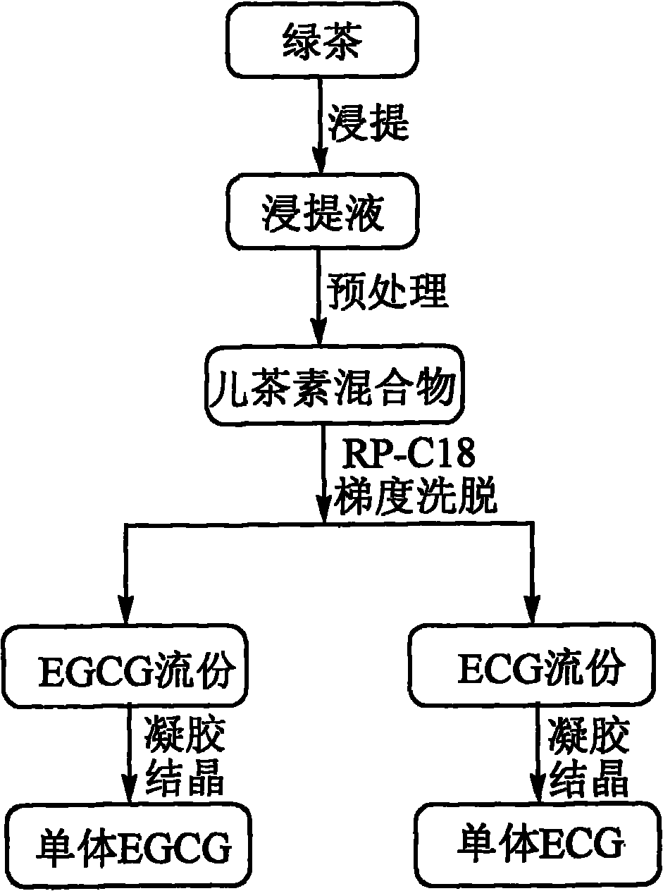 Method for preparing catechin monomers