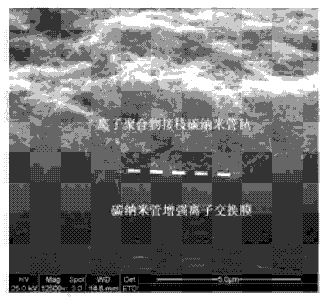 Ionic polymer composite material for brake and preparation method thereof