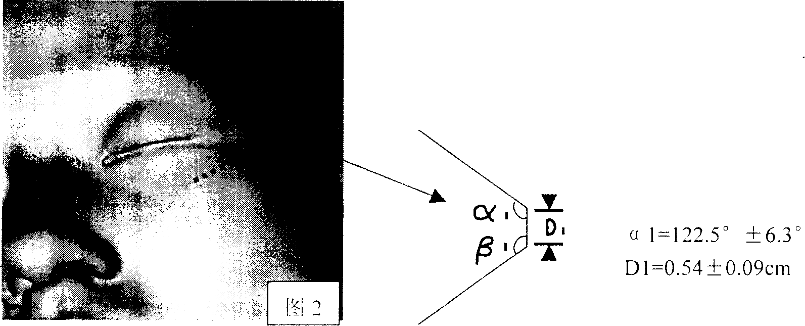 Composition containing PVA-124 and its application