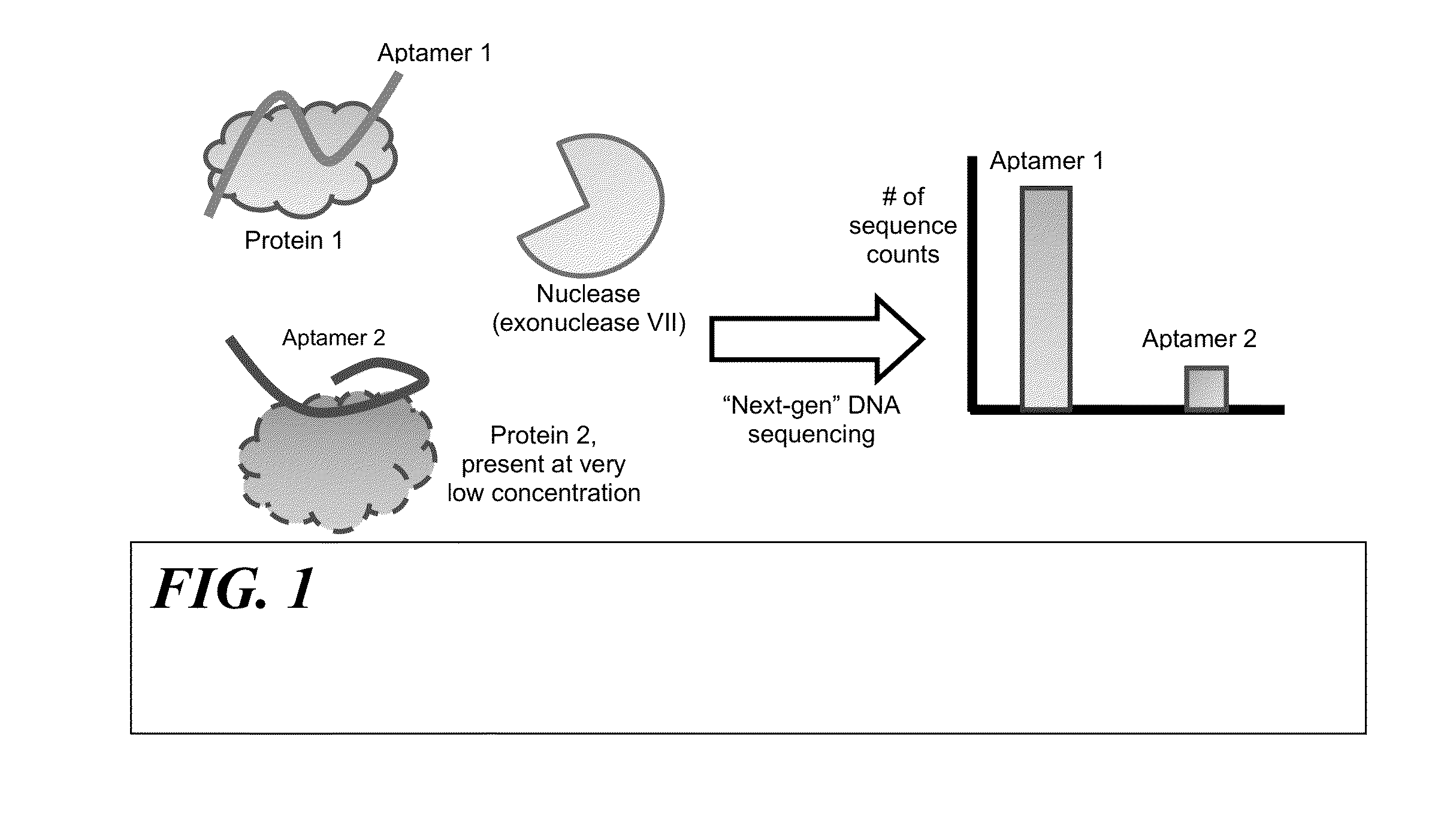 Method for multiplexed molecular detection