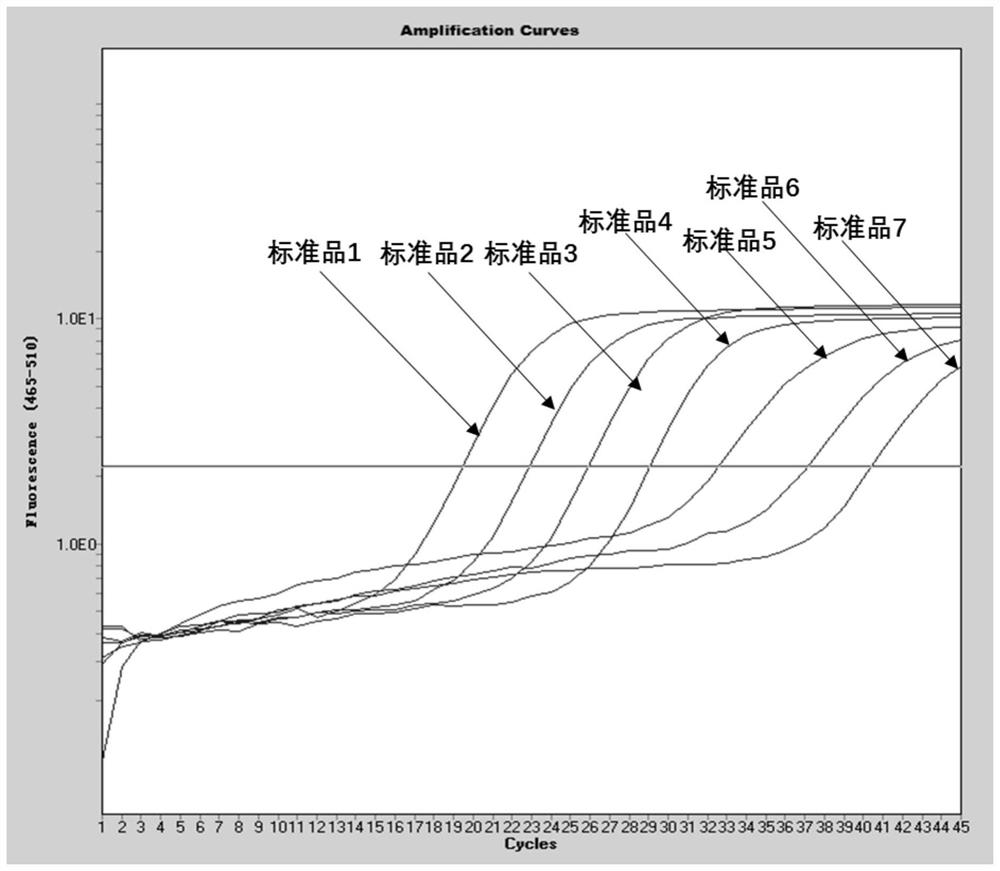 Primers and probes, kits and methods for real-time fluorescent quantitative PCR detection of novel coronavirus 2019-ncov