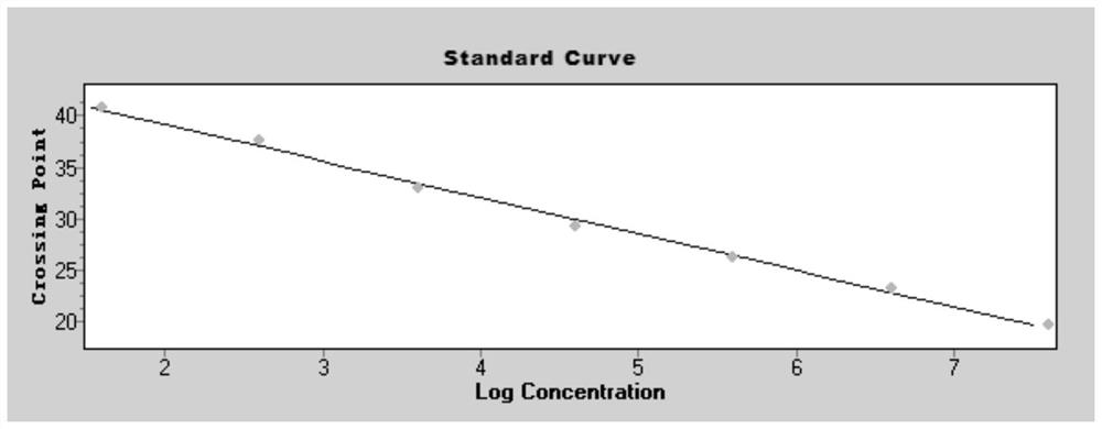 Primers and probes, kits and methods for real-time fluorescent quantitative PCR detection of novel coronavirus 2019-ncov