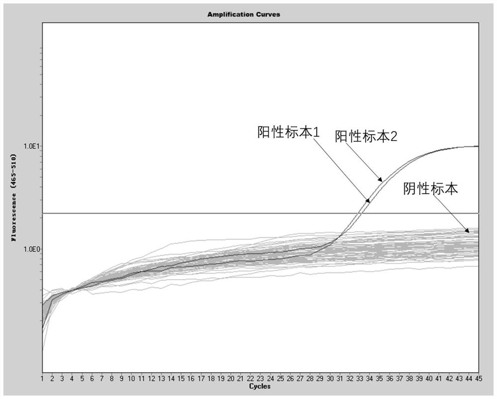 Primers and probes, kits and methods for real-time fluorescent quantitative PCR detection of novel coronavirus 2019-ncov