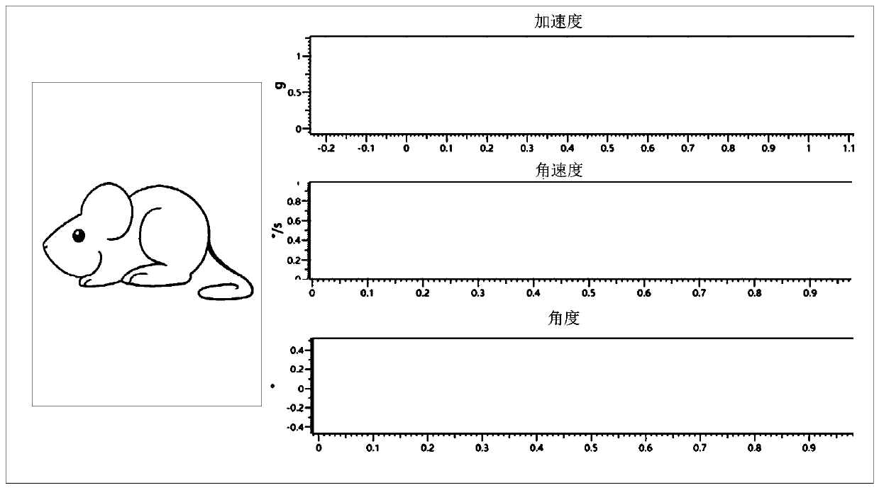 Motion monitoring system