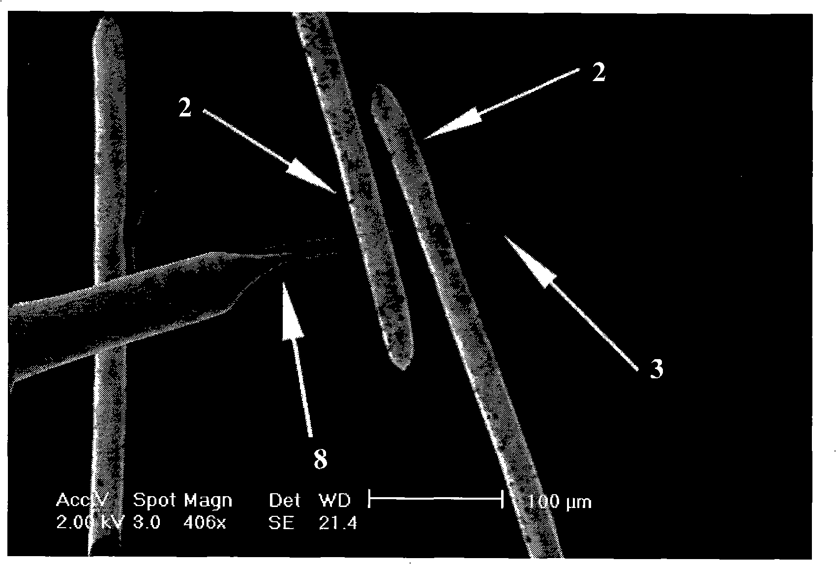 Method and system for measuring quasi one-dimensional nano-material Seebeck coefficient