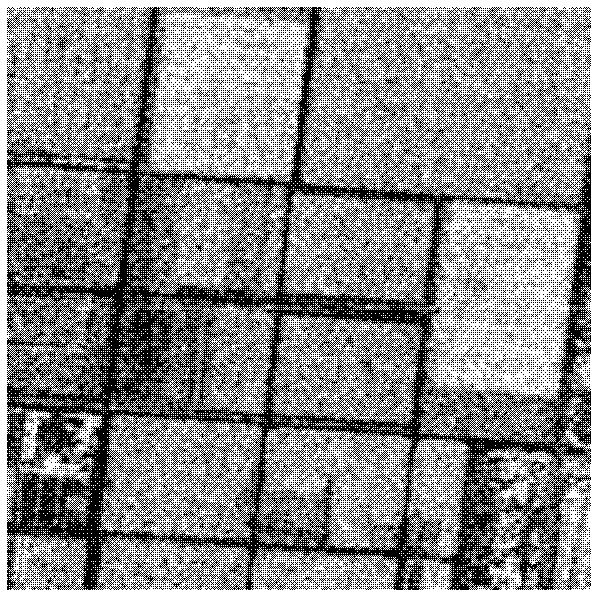 Level set SAR image segmentation method based on local and global area information