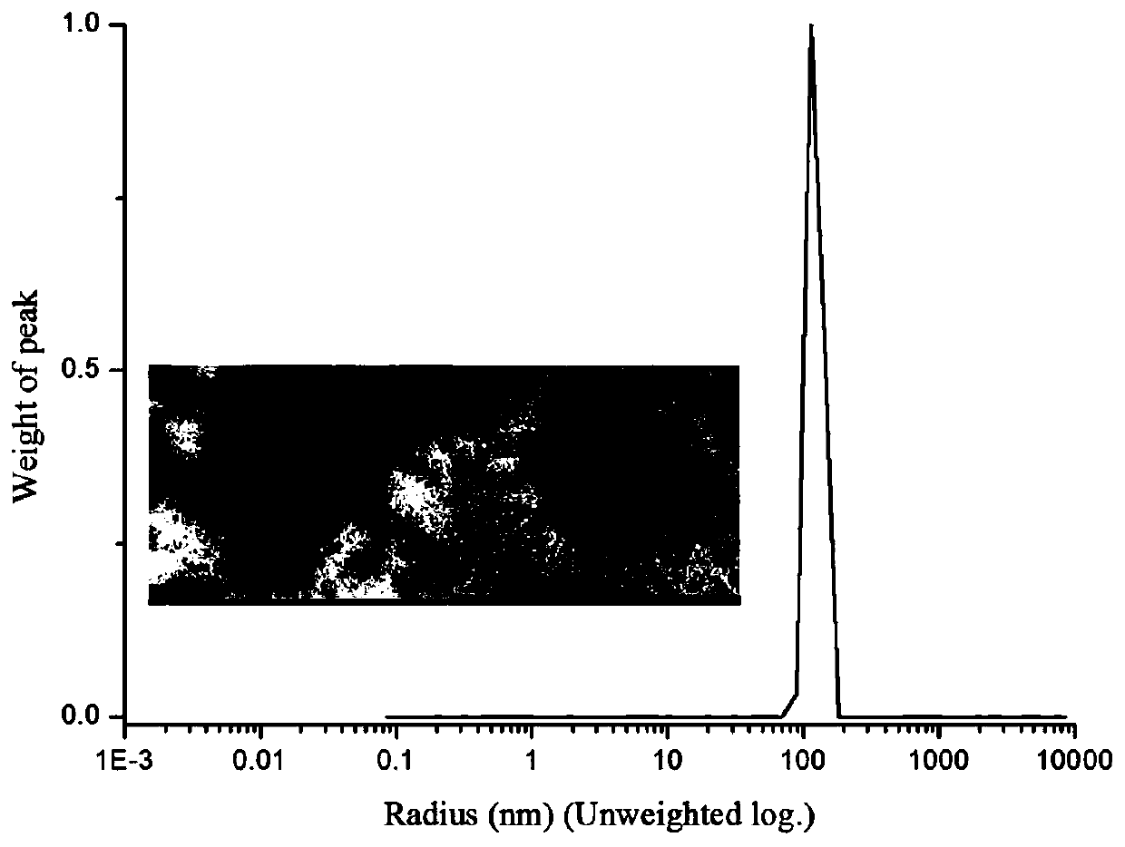 A nano-targeted drug carrier, preparation method and application thereof