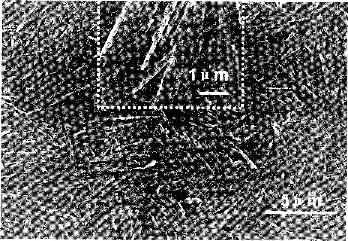 Method for realizing mono-disperse modification and optimal orientation array of hypovanadic oxide nano wire