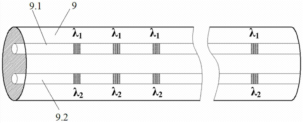 Dual-core fiber grating array sensor network and distributed sensing information acquisition method