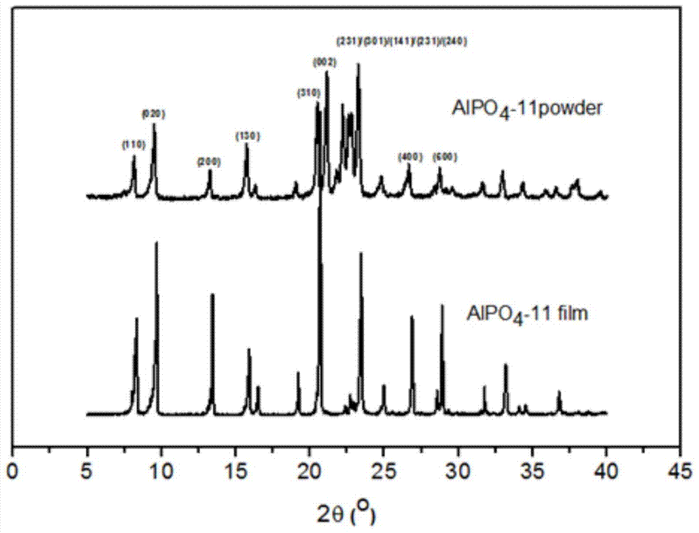 Phosphorus-aluminum molecular sieve membrane synthesis method