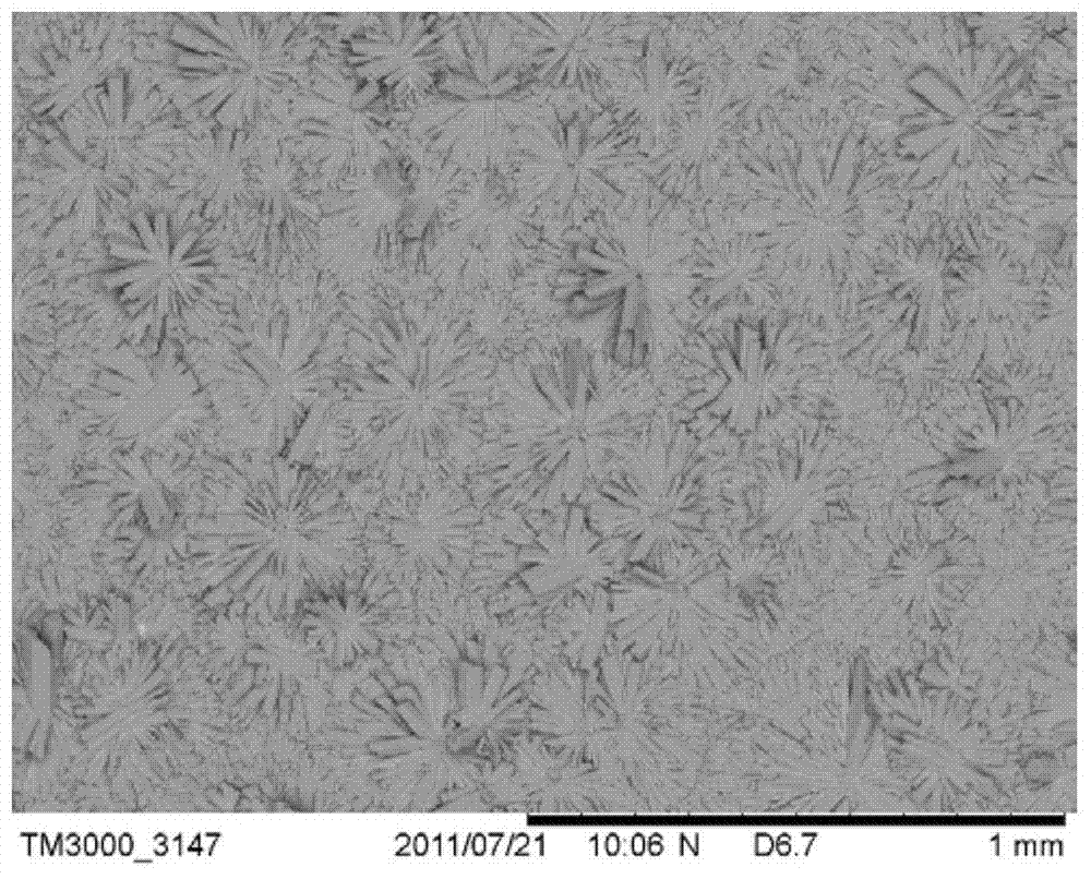 Phosphorus-aluminum molecular sieve membrane synthesis method