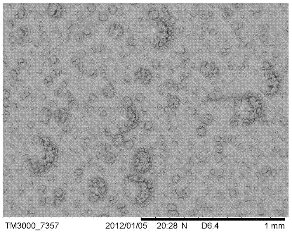 Phosphorus-aluminum molecular sieve membrane synthesis method