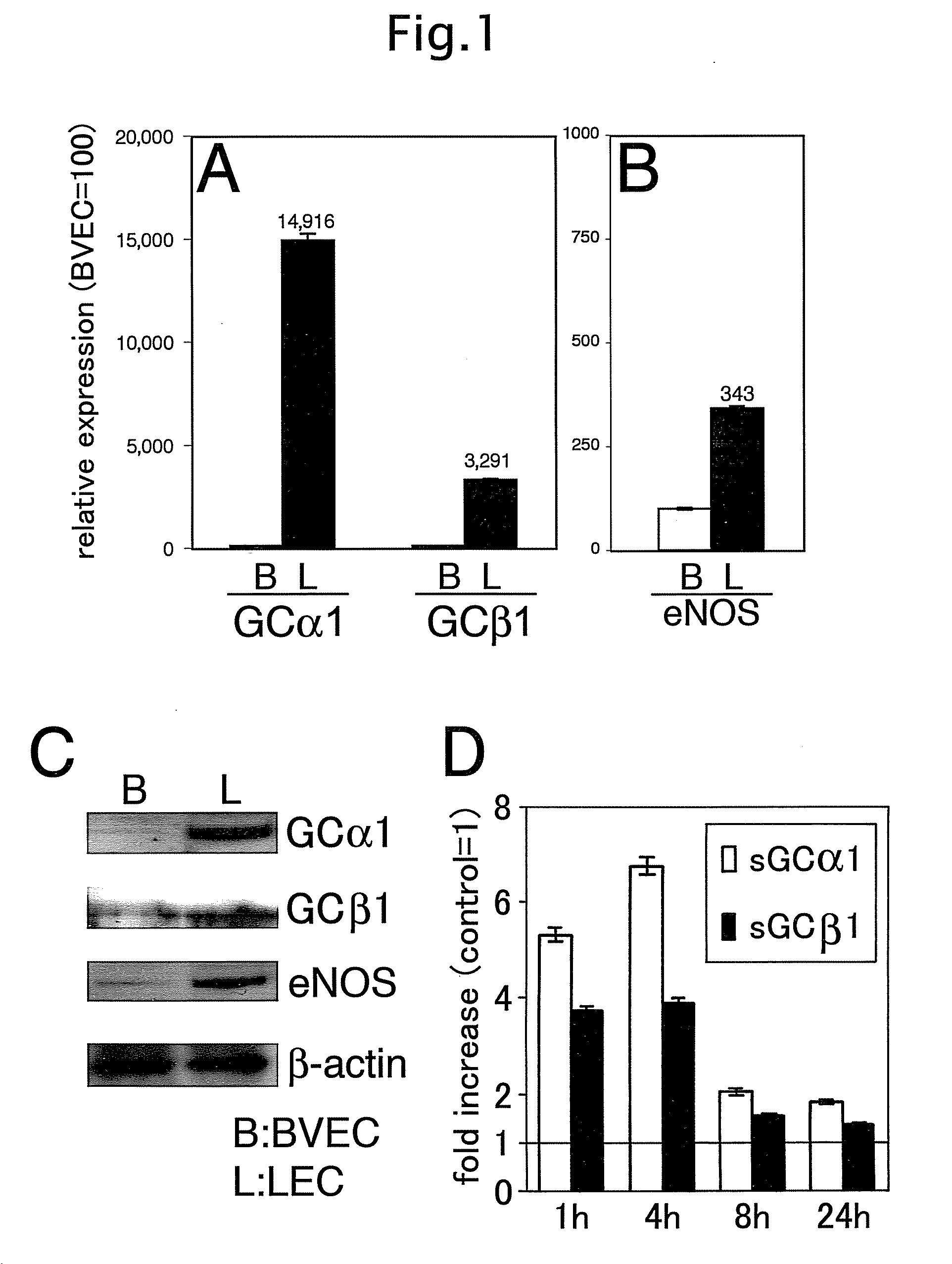 Method for inhibiting lymphangiogenesis and inflammation