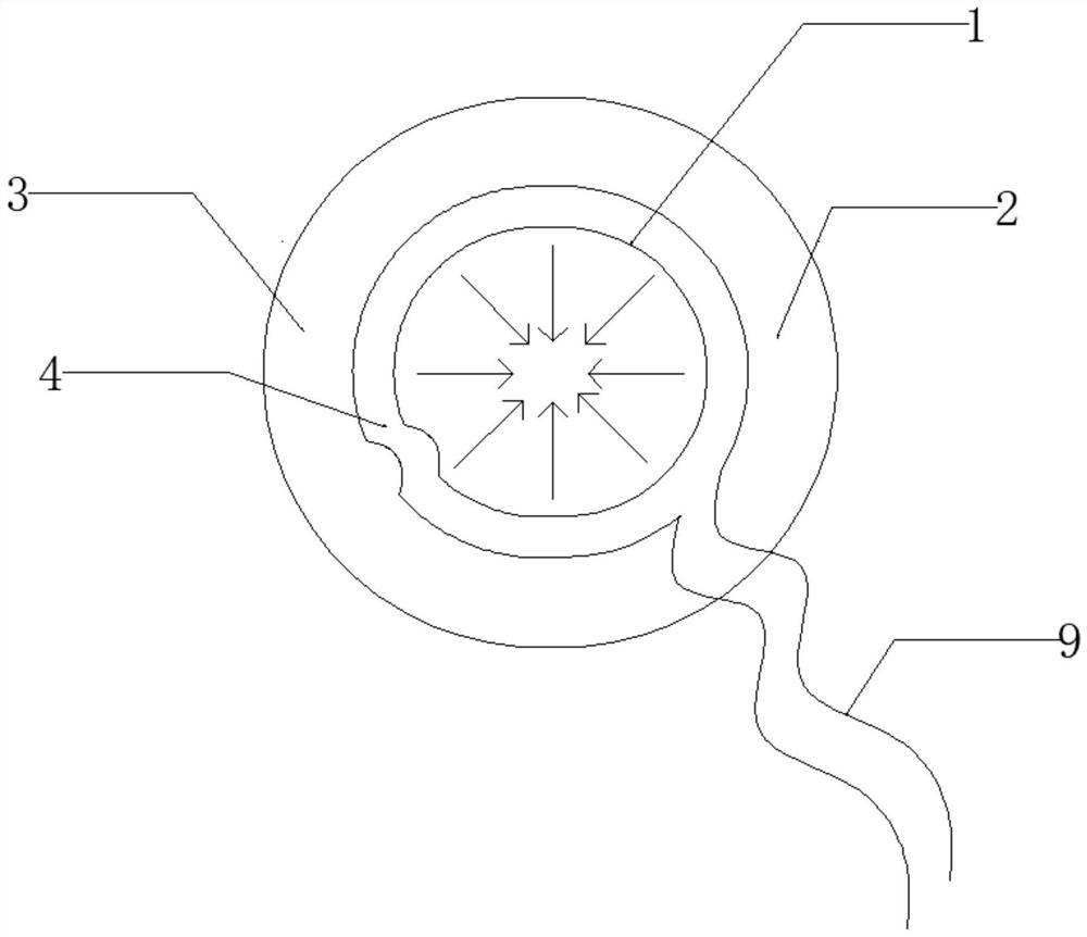 Oral cavity air curtain isolator