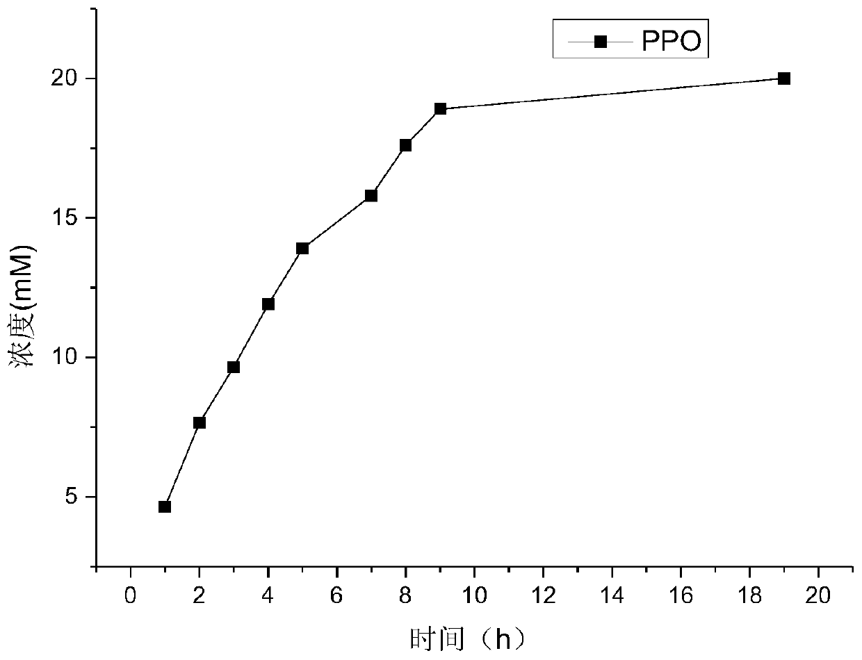 A d-amino acid oxidase mutant and its application