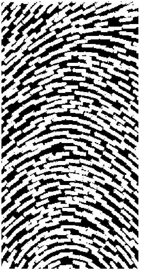 Liquid crystal display panel and display device