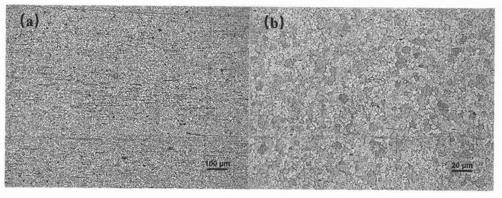 Magnesium alloy with excellent room temperature plasticity and preparation method thereof