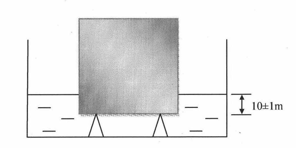 Method for immobilizing microorganisms and repairing defects of cement-based materials by adopting sodium carboxymethyl cellulose