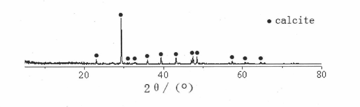 Method for immobilizing microorganisms and repairing defects of cement-based materials by adopting sodium carboxymethyl cellulose