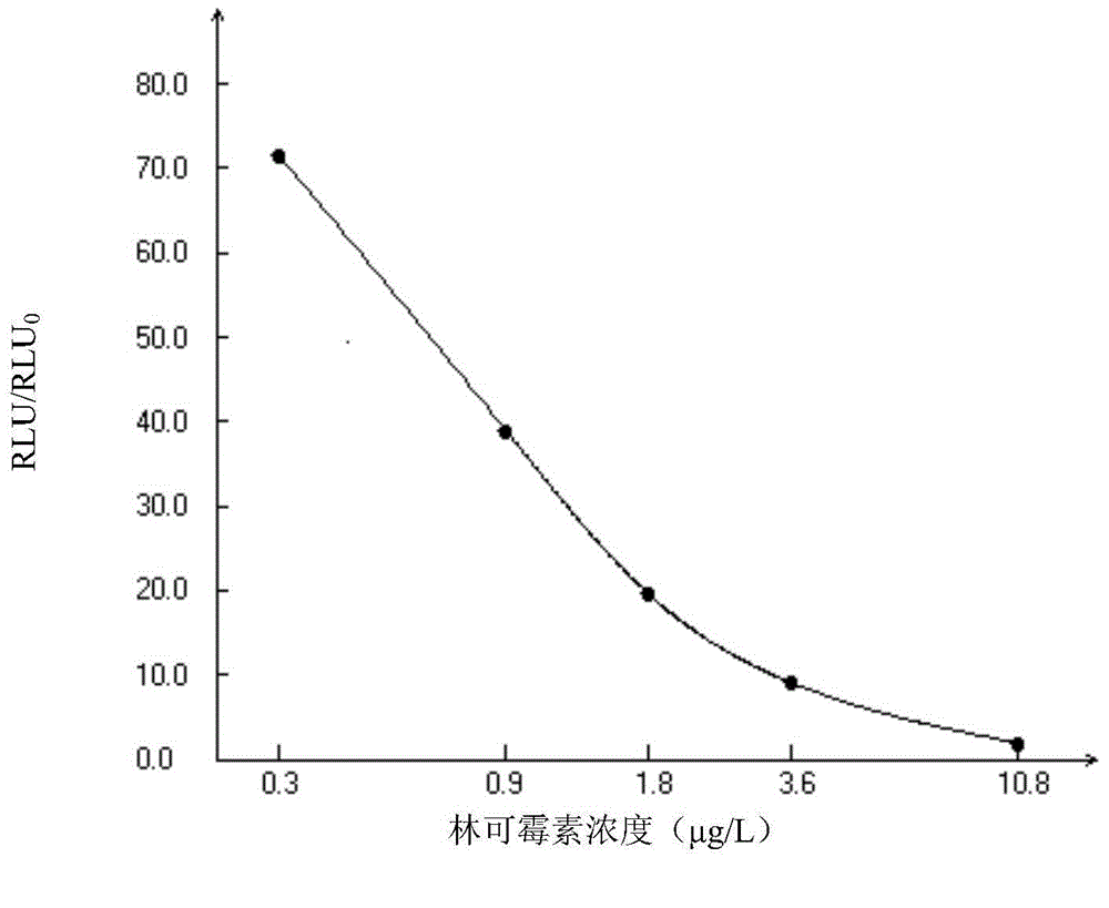 Lincomycin magnetic immunochemiluminescence detection kit and application thereof