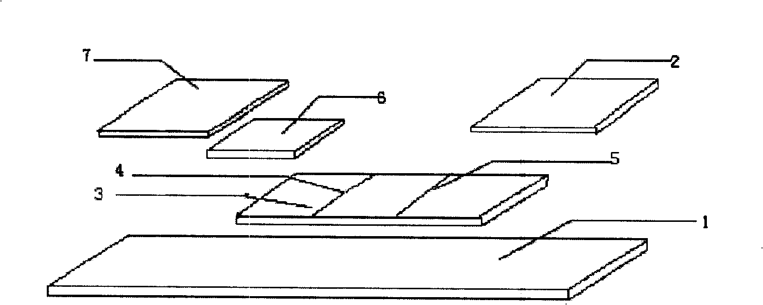 Homo-type cysteine immunity colloidal gold detecting test paper and method for producing the same