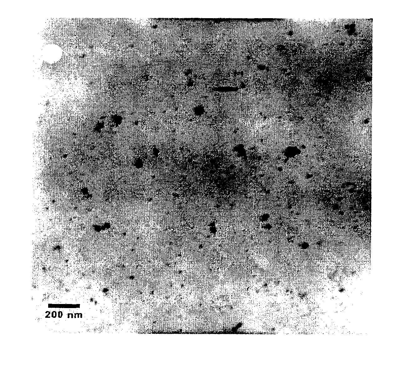 Preparation and application of stabilized iron nanoparticles for dechlorination of chlorinated hydrocarbons in soils, sediments, and ground water