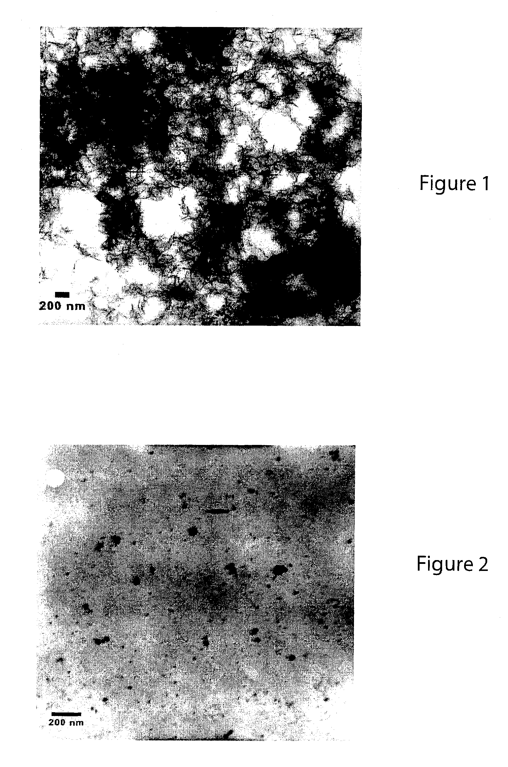 Preparation and application of stabilized iron nanoparticles for dechlorination of chlorinated hydrocarbons in soils, sediments, and ground water